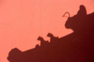 《Only Down》steam页面上线 换个方向一直向下